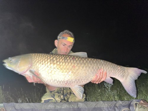 Boilies Hybrid Pikantní jahoda / Banán