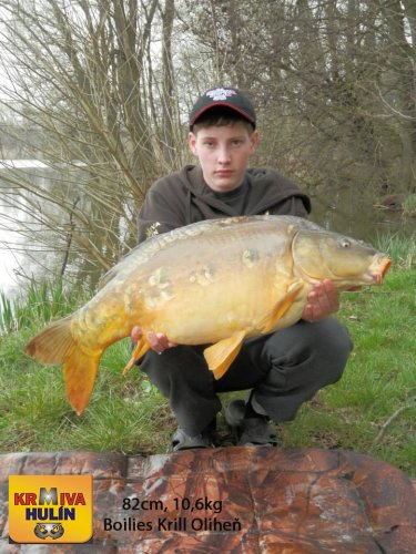 82cm, 10,6kg, boilies Krill/Oliheň, svazová voda