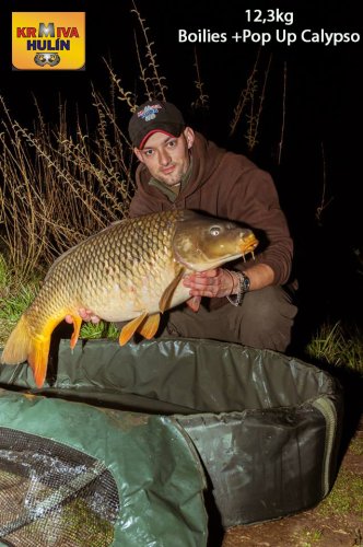 12,3kg, boilies Calypso, pop up Calypso