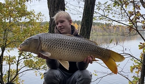Boilies Pikantní krill