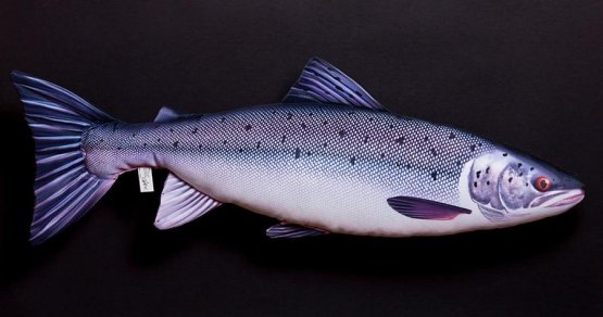 Plyšová ryba Gaby - LOSOS - 90 cm