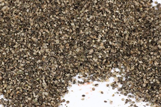 KONOPNÉ OTRUBY - pro koně - Vyberte balení: 1 kg