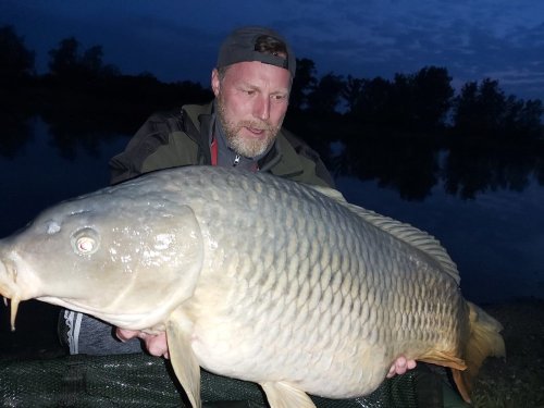Boilies Ledová Oliheň