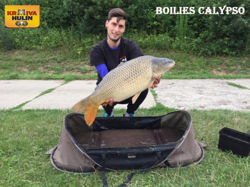Boilies Calypso
