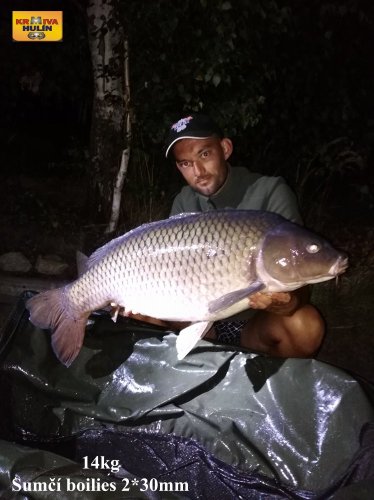 14kg, sumčí boilies 2 X 30 mm
