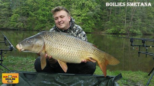 Boilies Smetana