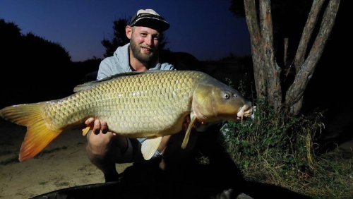 13,5kg, boilies Jeseter