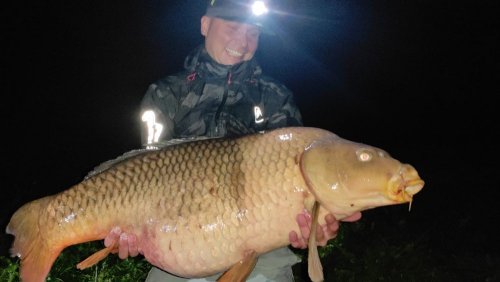 28kg, 115cm, Wafters Pomeranč a Chilli