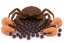 Boilies - MONSTER CRAB - Ø 16 mm (Krmiva Hulín, BOMC16-1) | Krmiva Hulín