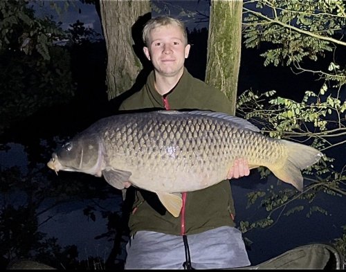 Boilies Pikantní krill