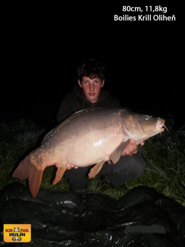 80cm, 11,8kg, boilies Krill/Oliheň, svazová voda