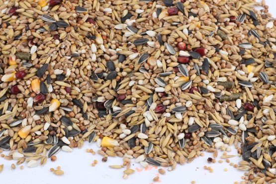 Krmivo Avest - PRO HLODAVCE 30