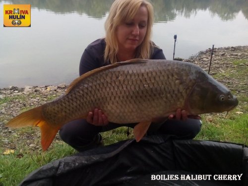 Boilies Halibut/Cherry
