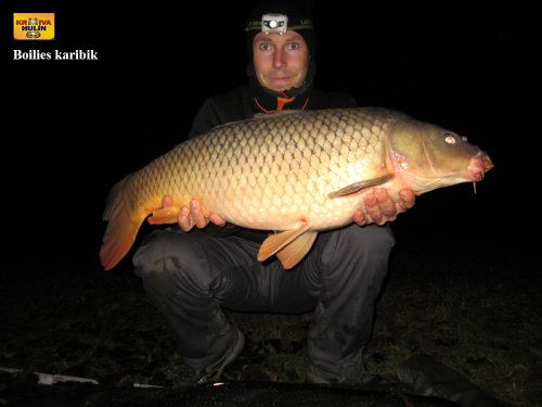 Boilies karibik, svazová voda
