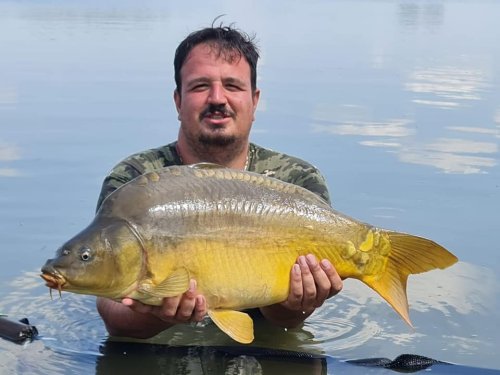 Boilies Frankfurtská klobása