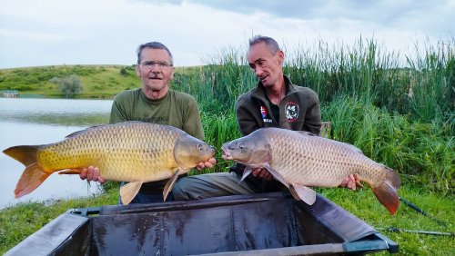 Boilies Pikantní krill