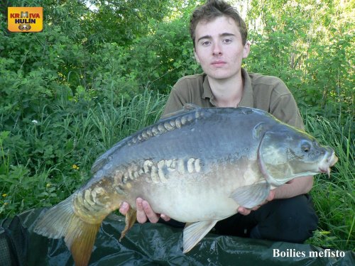 Boilies mefisto, svazová voda