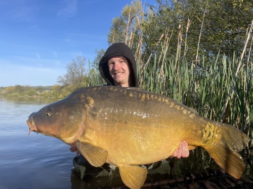 Boilies Tygří ořech Boilies Tygří ořech