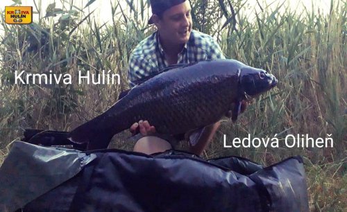Boilies ledová oliheň.