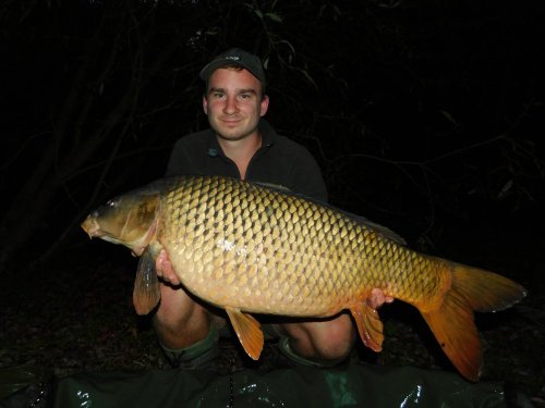 Boilies Švestka s česnekem