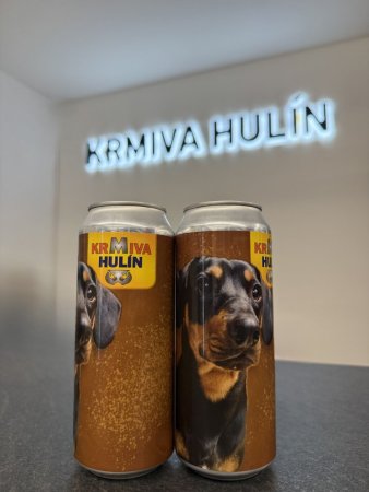 PIVO REGENT - Darčeková Edícia KH - SVETLÝ LEŽIAK PRÉMIUM 12 ° - 6x 0,5 L