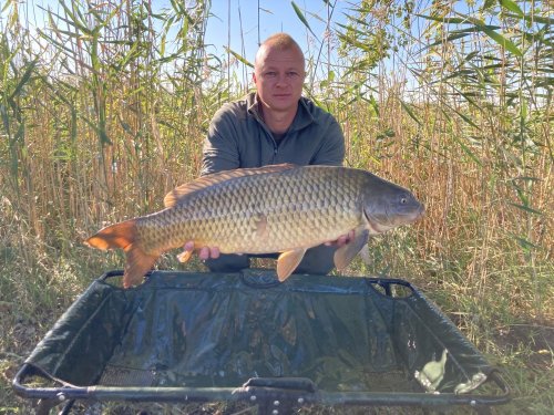 Boilies Bioactiv paste - Monster crab s Krillem a olihňí