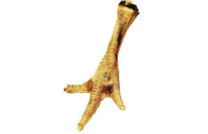 MORČACIE PARÁTY - sušené (Vyrobeno v ČR, KRPA-1) | Krmiva Hulín MORČACIE PARÁTY - sušené (Vyrobeno v ČR, KRPA-1) | Krmiva Hulín