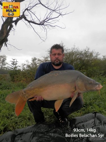 93cm, 14kg, boilies Belachan/Sýr, svazová voda