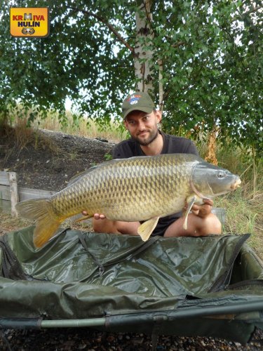 13,8kg, zig rig pop up ananas