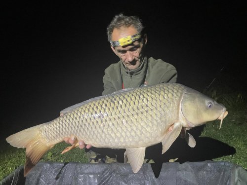 Boilies Pikantní perník Boilies Pikantní perník
