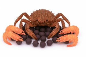 Boilies - MONSTER CRAB - Ø 20 mm (Krmiva Hulín, BOMC20-1) | Krmiva Hulín