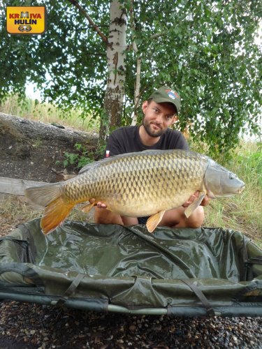 16,3kg, zig rig - pop up ananas