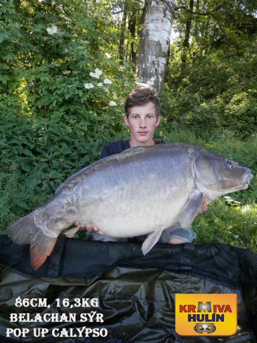 86cm, 16,3kg, boilies Belachan/Sýr, pop up Calypso, svazová voda
