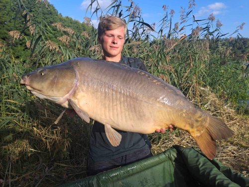 Boilies Na sumce