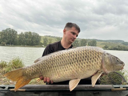 Boilies Pikantní krill