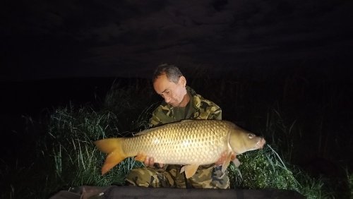 Boilies Pikantní perník