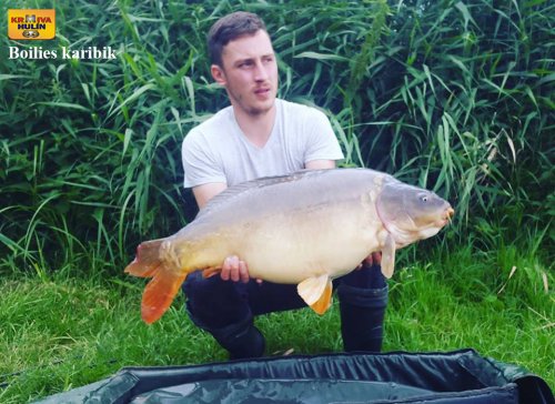 Boilies karibik