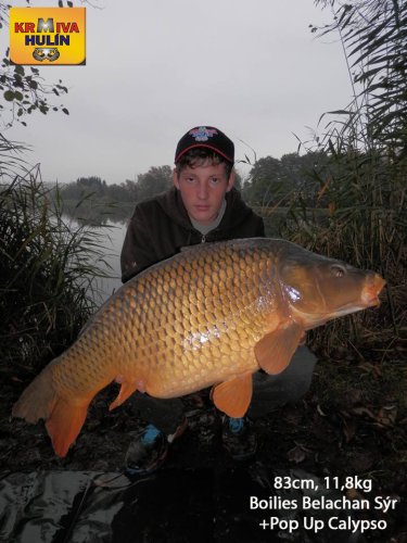83cm, 11,8kg, boilies Belachan/Sýr, pop up Calypso, svazová voda