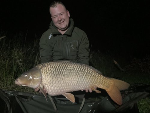 20+, boilies Krill a oliheň