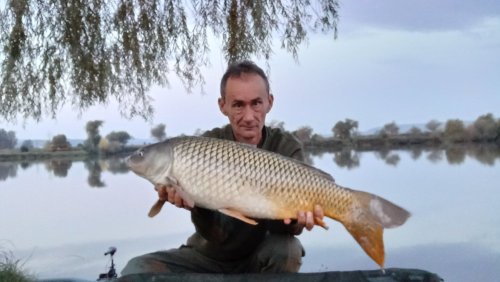 Boilies Duplex - Monster crab/Krill a oliheň