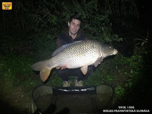 90cm, 15kg, boilies frankfurtská klobása
