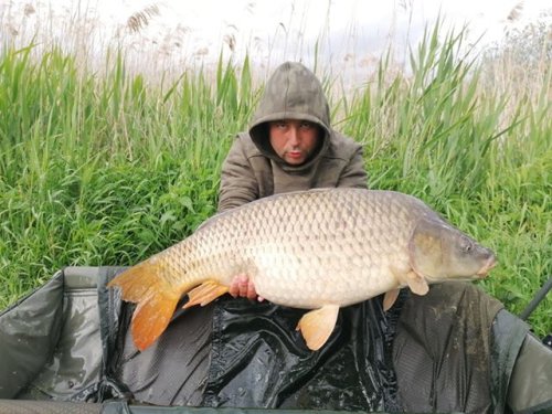 14kg, Boilies Pikantní jahoda