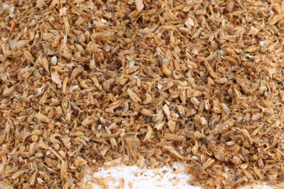 Sušený hmyz - Sušené Krevety malé - pro Exoty - Vyberte balení: 100 g