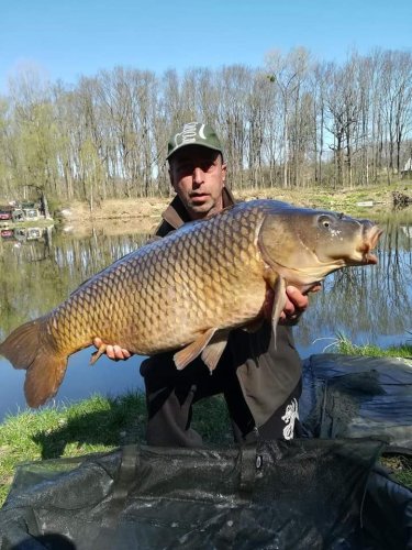 97cm, 17,5kg, Boilies Medová pampeliška