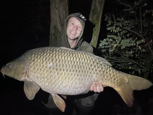 17,7kg, Boilies Pikantní perník