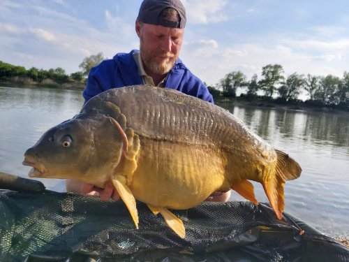 Boilies Ledová Oliheň