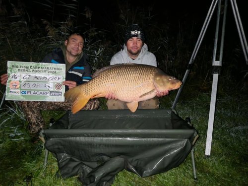 Boilies Calypso