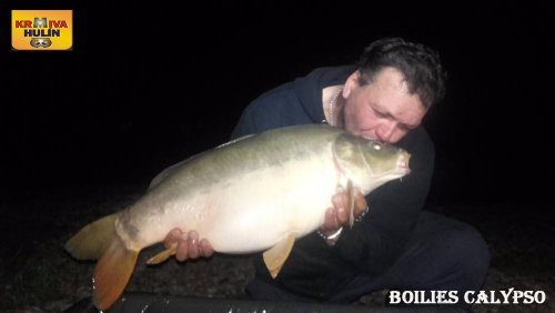 Boilies Calypso