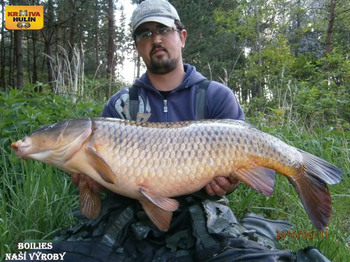 Boilies vlastní výroby z našeho boilies mixu