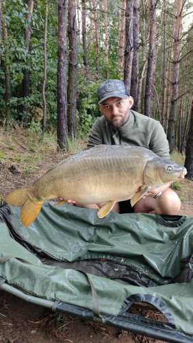 Boilies Pikantní perník